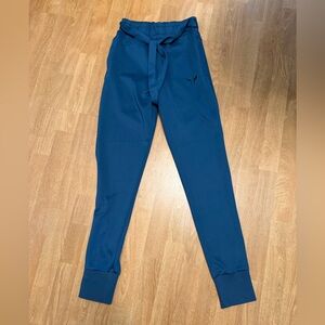Squatwolf Blue Jogger Pants